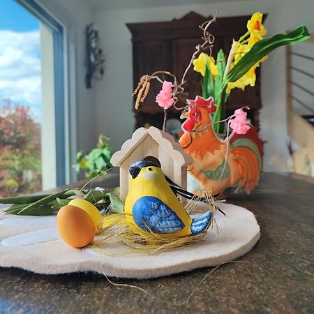 Bed and Breakfast Chez " Les Ligibell " Wintzenheim Esterno foto