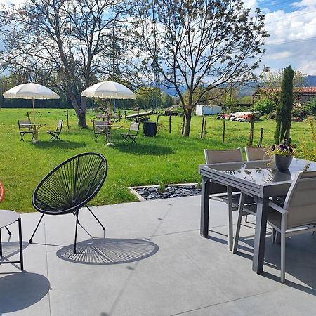Bed and Breakfast Chez " Les Ligibell " Wintzenheim Esterno foto