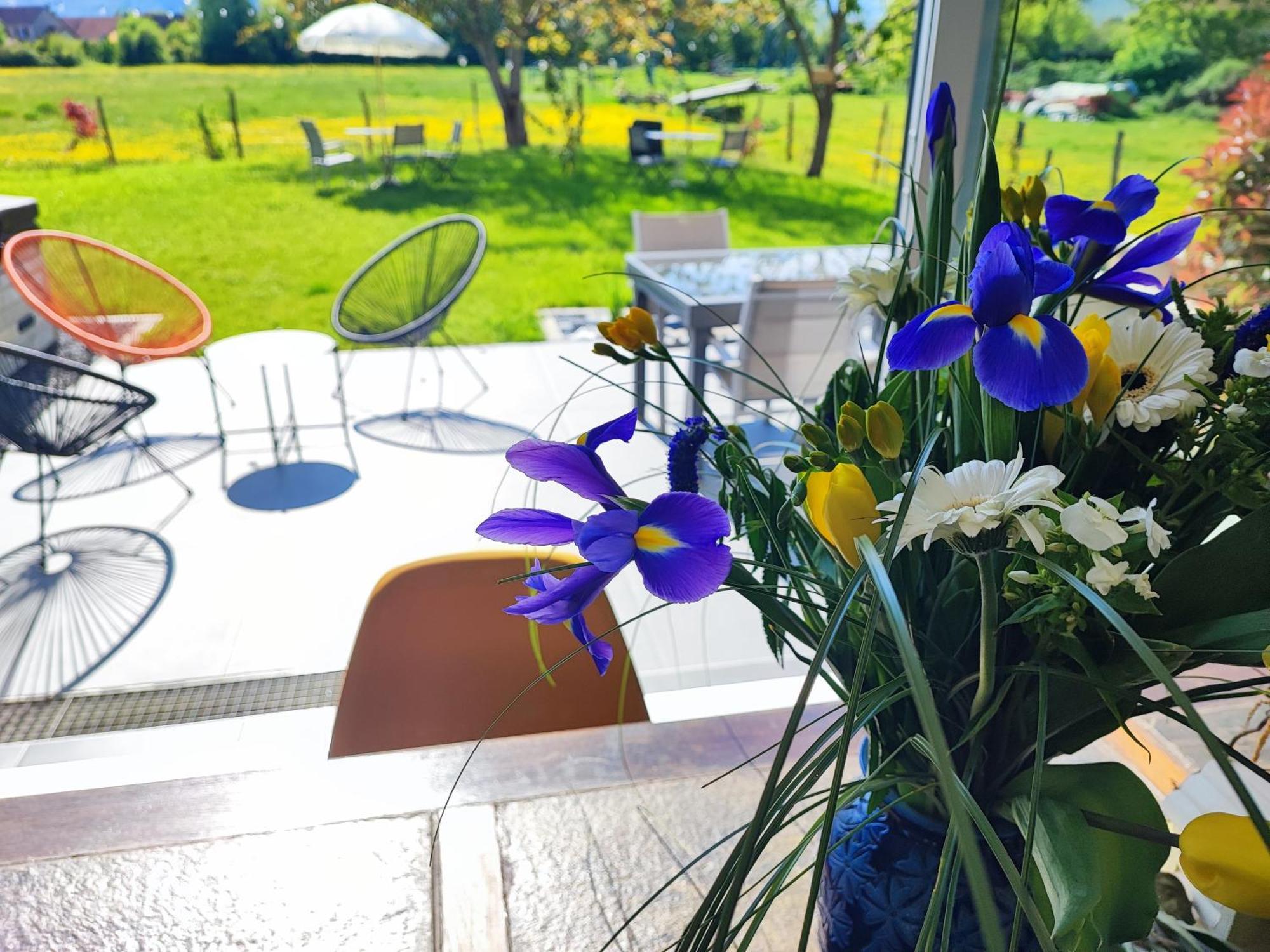Bed and Breakfast Chez " Les Ligibell " Wintzenheim Esterno foto
