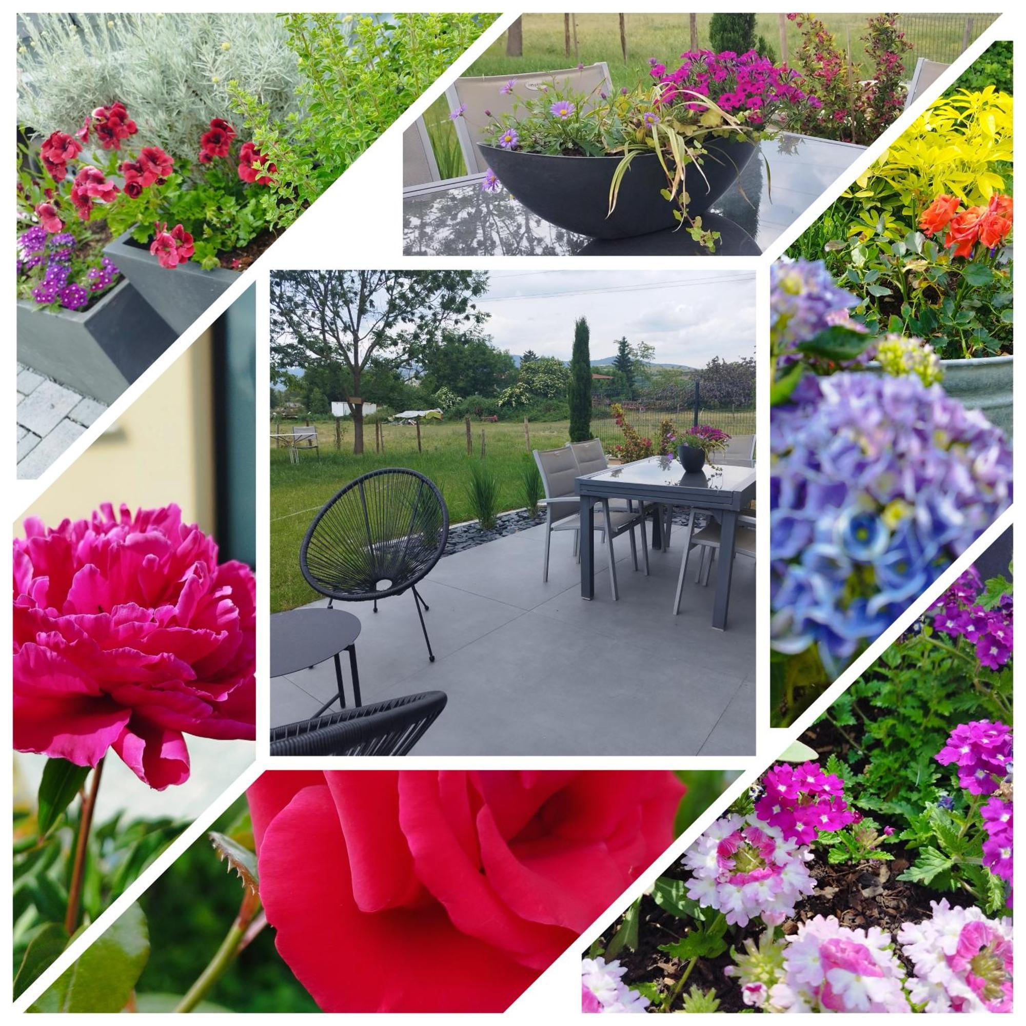 Bed and Breakfast Chez " Les Ligibell " Wintzenheim Esterno foto